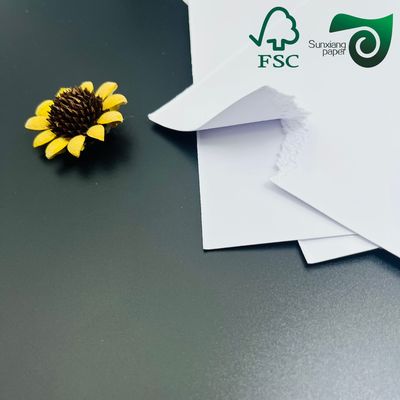 Uncoated Absorbent Paper 40pt 60pt 80pt Durable Disposable Paper Coaster Grade