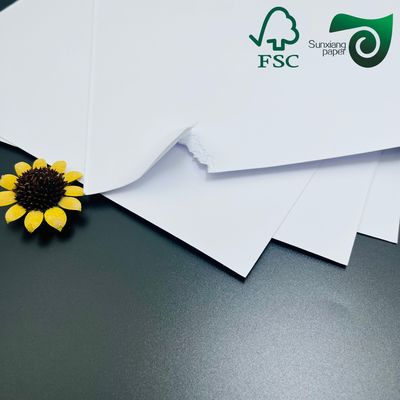 FSC 120g 144g Tear Resistant Degradable Uncoated Cardboard For Food Containers