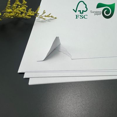 889mm Roll Size White Cardboard Optimized for Gravure Printing Made from 100% Virgin Wood Pulp