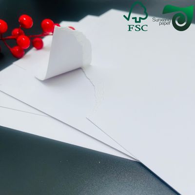 FSC 255g Single Coated Ivory White Cardboard  High Bulk Low Weight  Ideal For Writing Printing