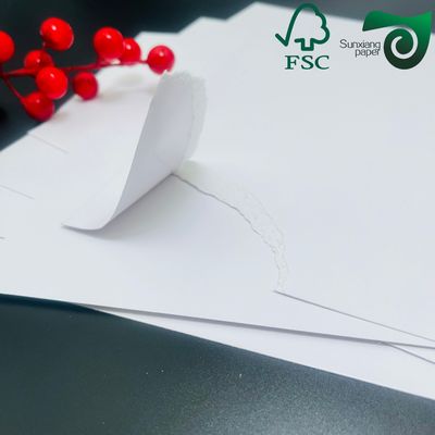 FSC 255g Single Coated Ivory White Cardboard  High Bulk Low Weight  Ideal For Writing Printing