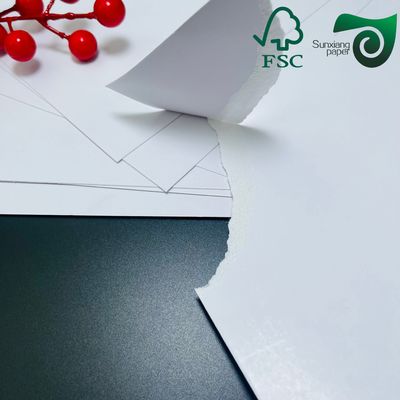 Food Grade Paper Rolls With Good Stiffness PE Coating For Bowl Bases