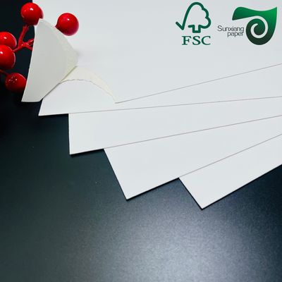 FSC 250gsm C1S FBB SBS Ivory Board Jumbo Rolls Versatile Widths For Packaging Printing
