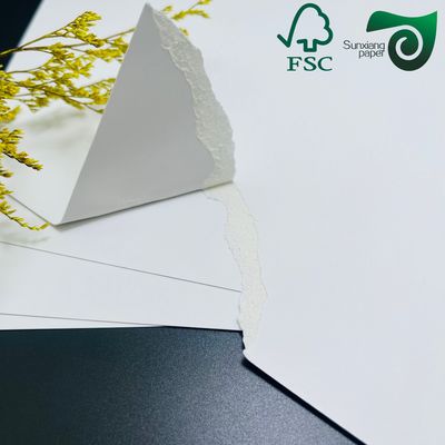FSC 250gsm C1S FBB SBS Ivory Board Jumbo Rolls Versatile Widths For Packaging Printing