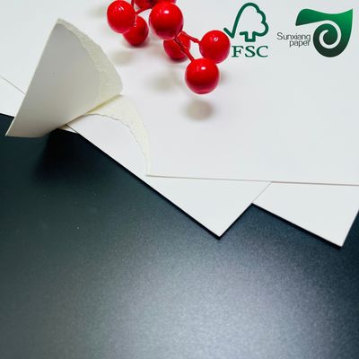 FSC 250gsm C1S FBB SBS Ivory Board Jumbo Rolls Versatile Widths For Packaging Printing