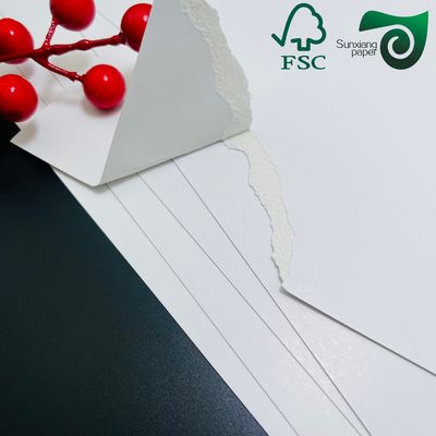 FSC Certified 250gsm 300gsm Natural White FBB SBS Folding Box Board White Cardboard
