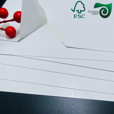 FSC Food Grade Single Side Coated Bleached Cardboard 250gsm Premium Food Label  Packaging Solution