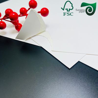 FSC Food Grade Single Side Coated Bleached Cardboard 250gsm Premium Food Label  Packaging Solution