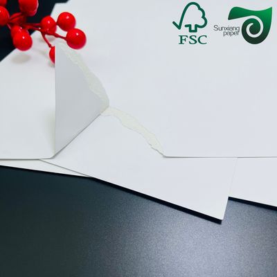FSC Food Grade Single Side Coated Bleached Cardboard 250gsm Premium Food Label  Packaging Solution