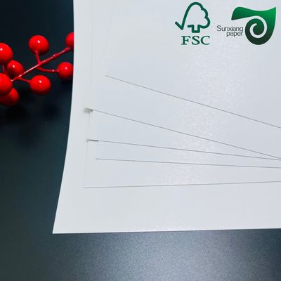 FSC Food Grade Single Side Coated Bleached Cardboard 250gsm Premium Food Label  Packaging Solution