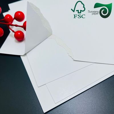 FSC 210gsm C1S FBB SBS Ivory Board Jumbo Rolls Versatile Widths For Packaging Printing