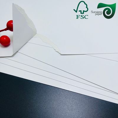 FSC 350gsm Lightweight C1S Coated FBB SBS Paper Board For Pharmaceutical Diversified Packaging