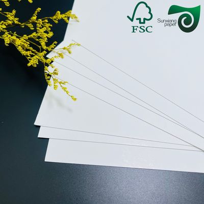 FSC 210gsm C1S FBB SBS Ivory Board Jumbo Rolls Versatile Widths For Packaging Printing
