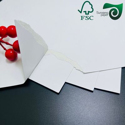 FSC 210g Food Grade C1S SBS Solid Paperboard Single Side Coated White Cardboard