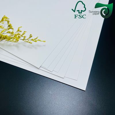 250gsm  420 Microns Single Side Coated Freezer Paper Roll Food Packaging Grade