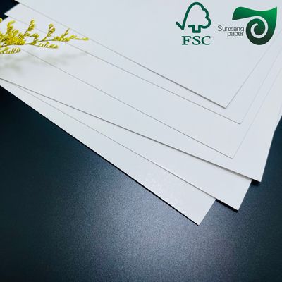 250gsm  420 Microns Single Side Coated Freezer Paper Roll Food Packaging Grade