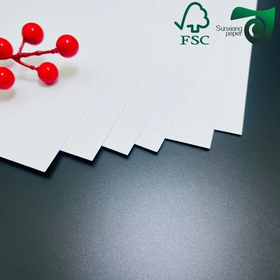 250gsm  420 Microns Single Side Coated Freezer Paper Roll Food Packaging Grade