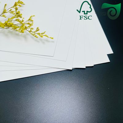 FSC 300gsm Single Sided Coated Paper  High Folding Resistance For Food Packaging  Takeaway Boxes