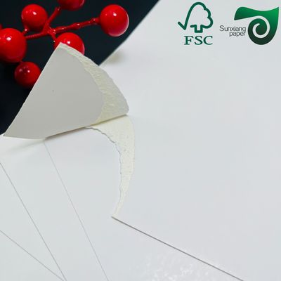 FSC 300gsm 250gsm Natural White FBB SBS Folding Box Board 70cm 100cm