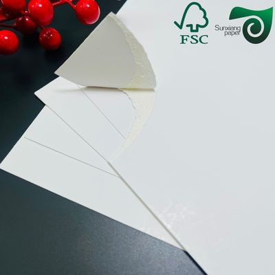 FSC 300gsm 250gsm Natural White FBB SBS Folding Box Board 70cm 100cm