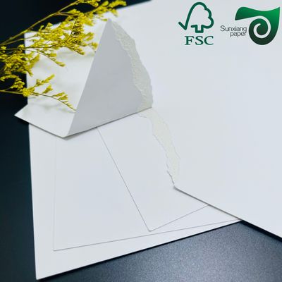 FSC 300g 350g Coated Food Grade SBS Paper  900mm 1000mm For Food Package Boxes