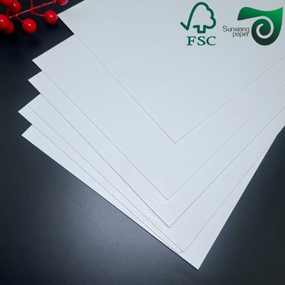 FSC 120g C1S  Coated One Side Gloss Paper  68cm 110cm Roll Width