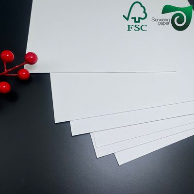 FSC 120g C1S  Coated One Side Gloss Paper  68cm 110cm Roll Width