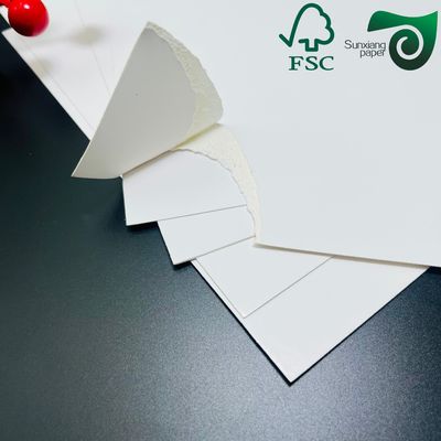 FSC 120g C1S  Coated One Side Gloss Paper  68cm 110cm Roll Width