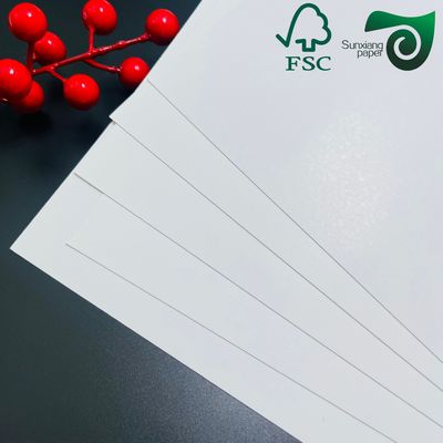 FSC 215g 235g White Food Grade Single Sided Coated Food Board For Frozen Packaging