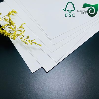 250 gm Einseitig beschichtete Gefrierpapierrolle 420 μM Lebensmittelverpackung