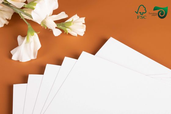 210gsm 230gsm Food Grade Oilproof White Cardstock 6 Kit Pack  300μM 320μM Thickness