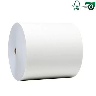 FSC Certified Food Safe White Kraft Paper 50gsm 10g PE Coating Waterproof Oil Proof Paper