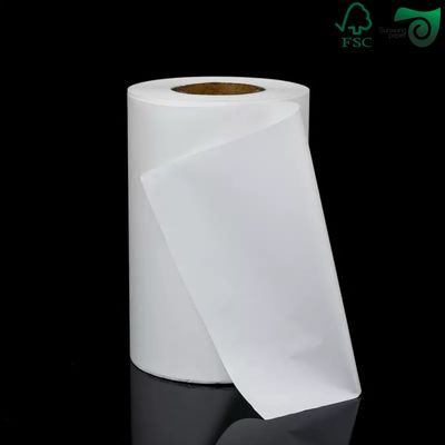 Biodegradable MG Craft Paper For Drinking Straws  60gsm 120gsm 5 Inch Core  FSC