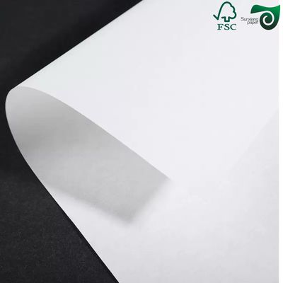 Virgin White Kraft Paper Rolls Sized 24 35 Inches Available In 150gsm 170gsm 190gsm Ideal For Paper Bag Production