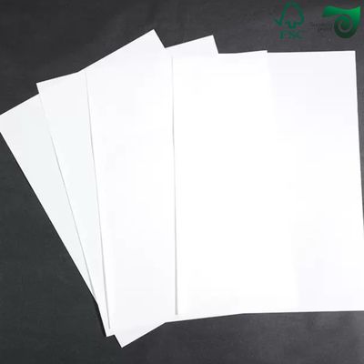 Premium Food Grade Bleached Wrapping Board High Stiffness Single  Side Coated For Packing FSC