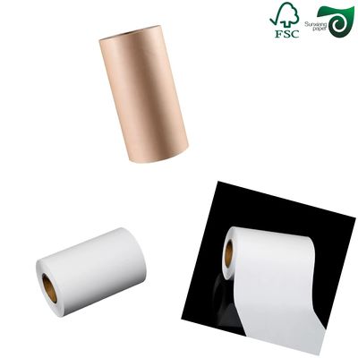 Biodegradable MG Craft Paper For Drinking Straws  60gsm 120gsm 5 Inch Core  FSC