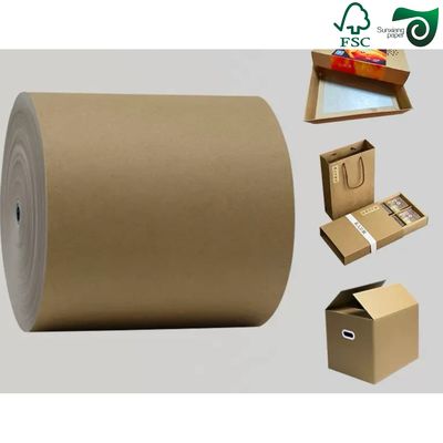 FSC 300gsm 15gsm PE Coated Kraft Paper For Food Trays  700mm 1000mm