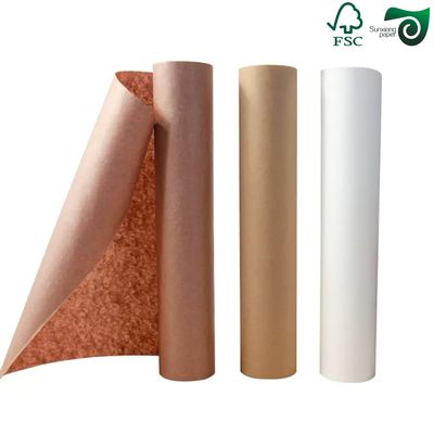 FSC 56gsm Waterproof Unbleached Brown Wrapping Paper For Mango Protector Bags  70cm 100cm
