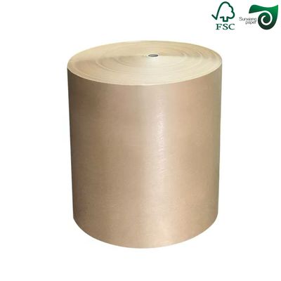 FSC 325gsm 350gsm One Side Coated White Food Cartonboard for Food Packaging