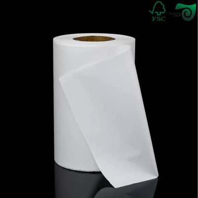 FSC Certified 270gsm 325gsm Uniform White Coated Kraft Back Paper For Bread  Food Packaging