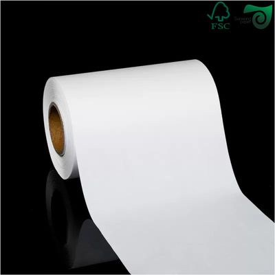 175gsm 200gsm White Top Liner Paper For Tissue Converting White Kraft Liner Paper FSC  Kraft Liner Board