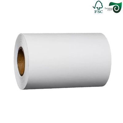 FSC Certified 270gsm 325gsm Uniform White Coated Kraft Back Paper For Bread  Food Packaging