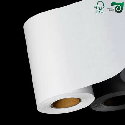 FSC Certified 270gsm 325gsm Uniform White Coated Kraft Back Paper For Bread  Food Packaging