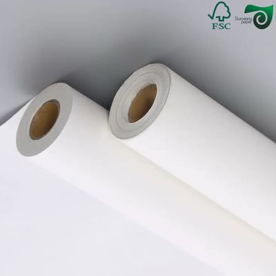 FSC Certified 270gsm 325gsm Uniform White Coated Kraft Back Paper For Bread  Food Packaging