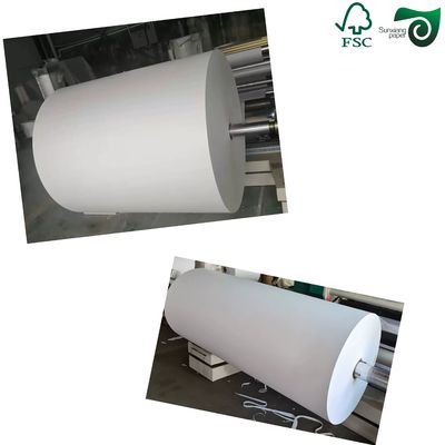 FSC Certified 270gsm 325gsm Uniform White Coated Kraft Back Paper For Bread  Food Packaging