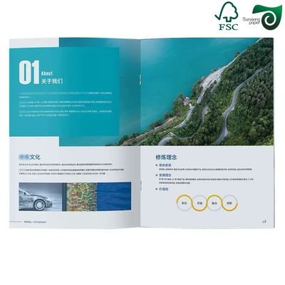 Premium White Cardboard Made from 100% Virgin Wood Pulp in 290gsm to 320gsm for Offset, Flexo, Gravure Printing