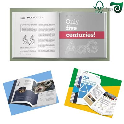 FSC 300GSM  350GSM C2S Glossy Art Board For Offset Printing  Double Sided White
