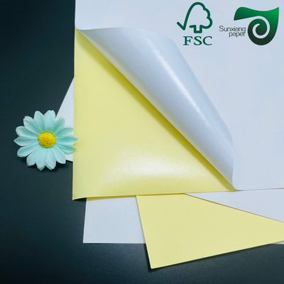 FSC 180μM Smooth Waterproof PET Synthetic Paper Adhesive Sticker  Ideal For Banners Outdoor Signage