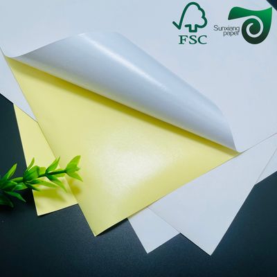 FSC Certified 75gsm 90gsm Semi Glossy Self Adhesive Sticker Paper Medicine Label Grade