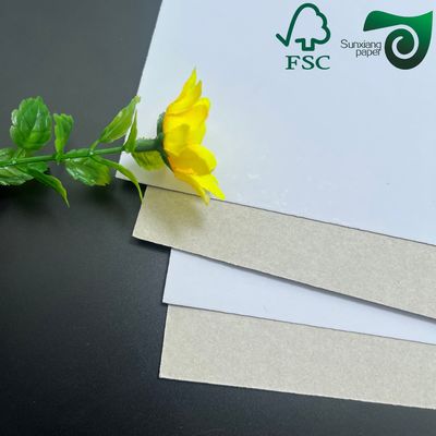 FSC 200gsm 450gsm Coated White Duplex Paper Board Grey Back Recycled Pulp